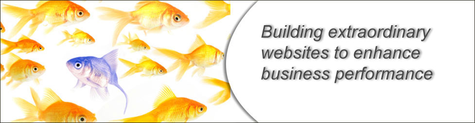Website Design Services Website Design Services