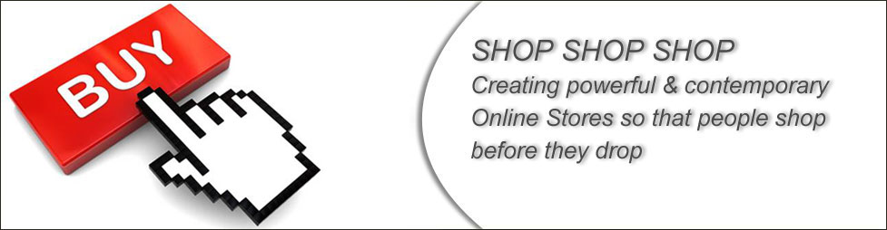 Ecommerce Website solutions